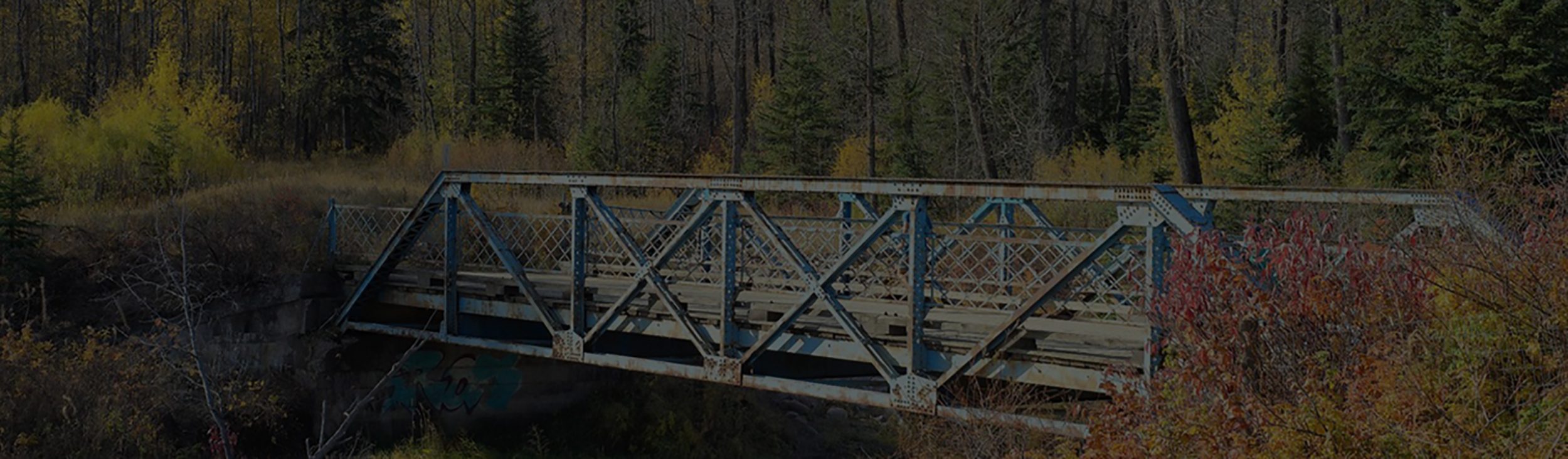 MacTaggart Real Estate Jolene Langelle Real Estate