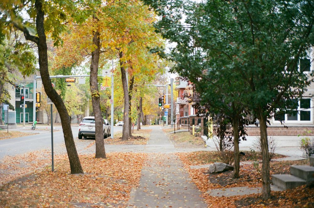 A Guide to My Favourite Edmonton Neighbourhoods