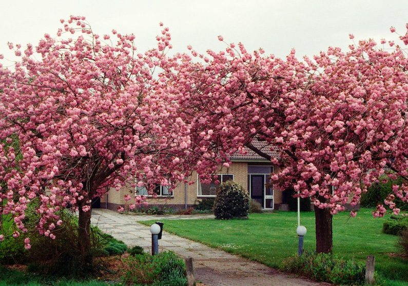 Who's Ready to Sell a House This Spring?