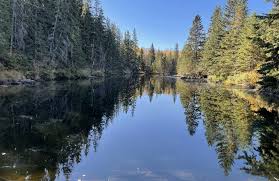 Mactaggart Sanctuary